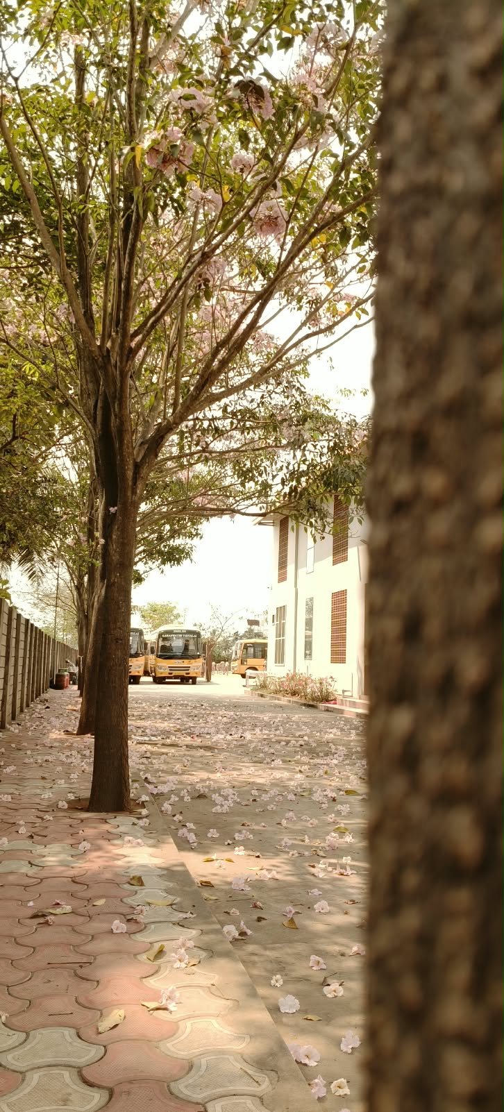 Campus