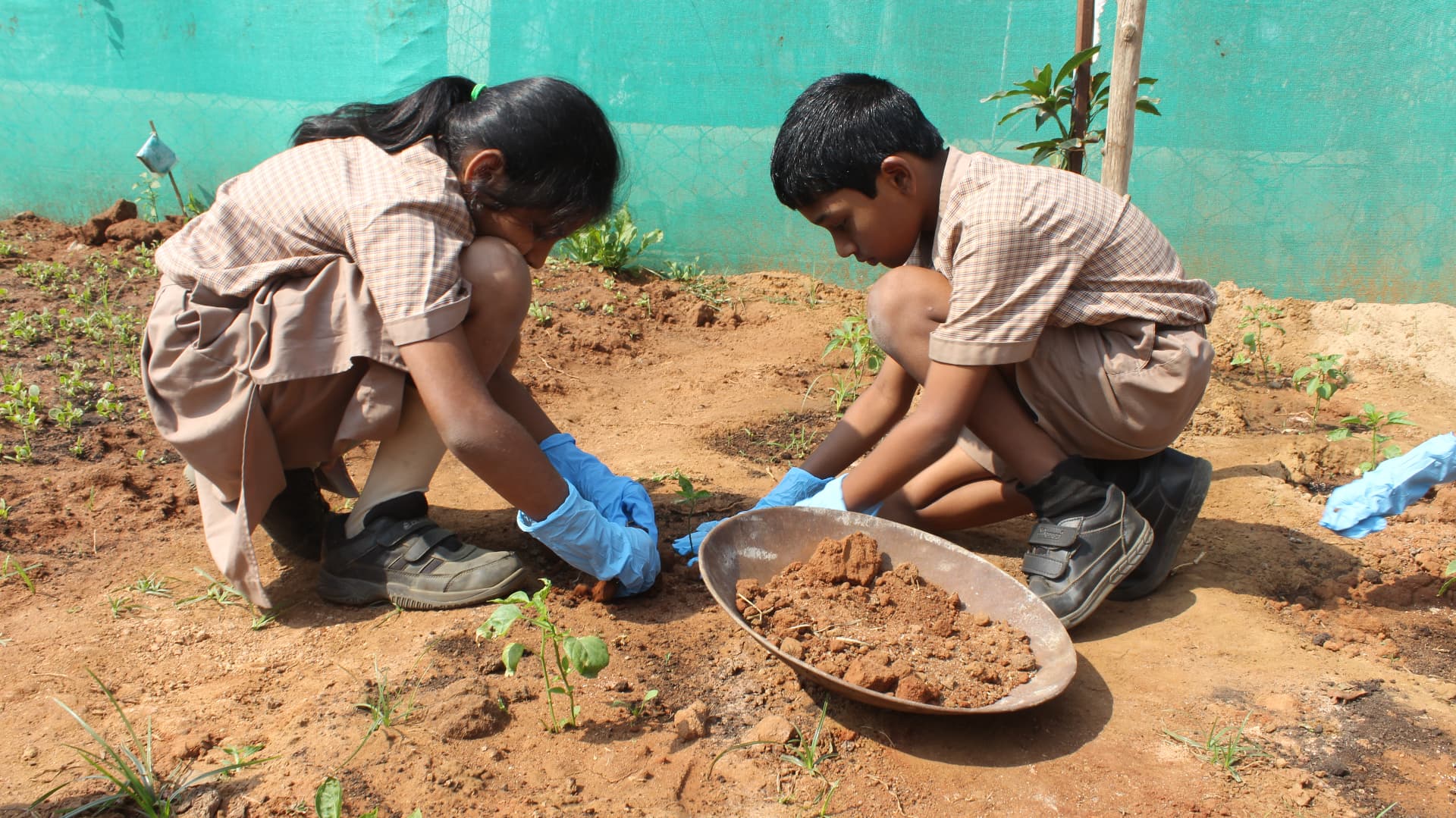 Students in practical work experience