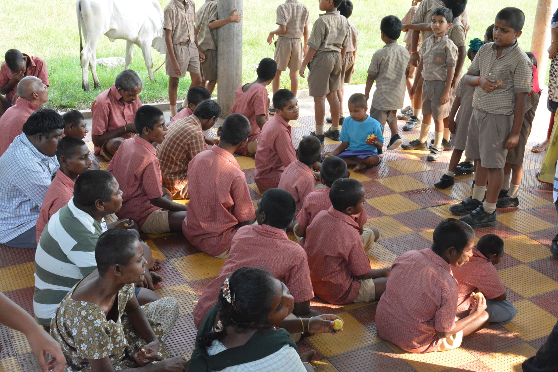 Field and educational Trips
