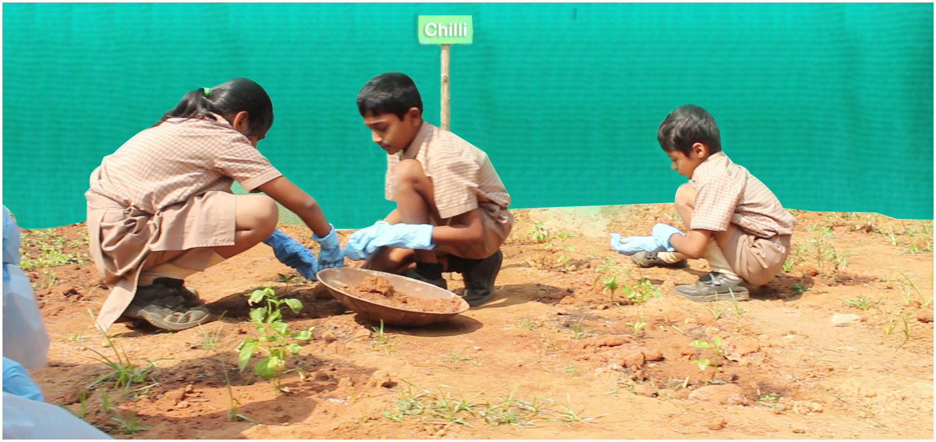 Hands-on practical activity