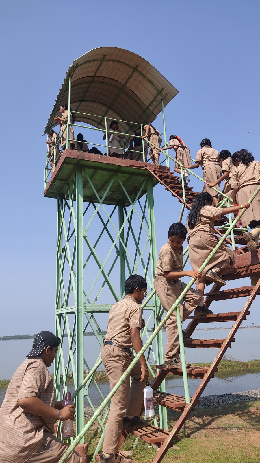Field and educational Trips