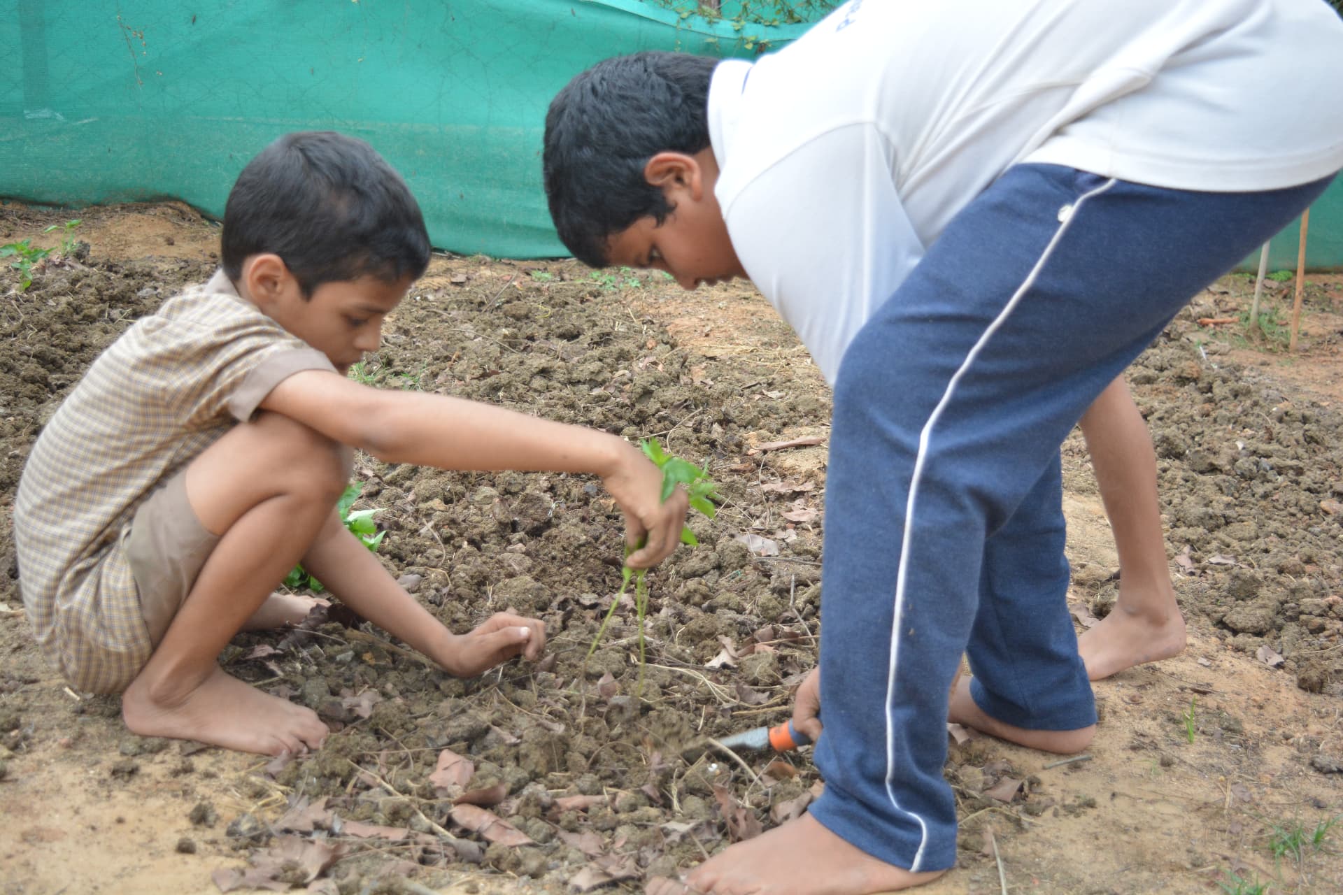 Farming