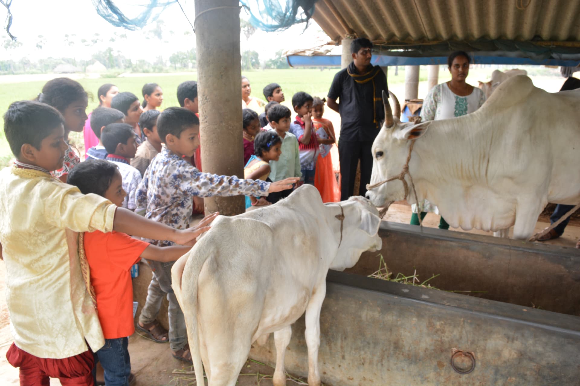 Field and educational Trips