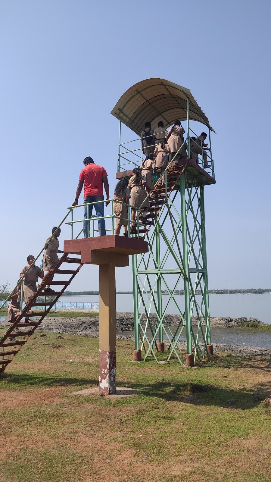 Field and educational Trips